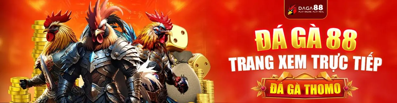 Đấu gà trực tuyến kịch tính tại OK99