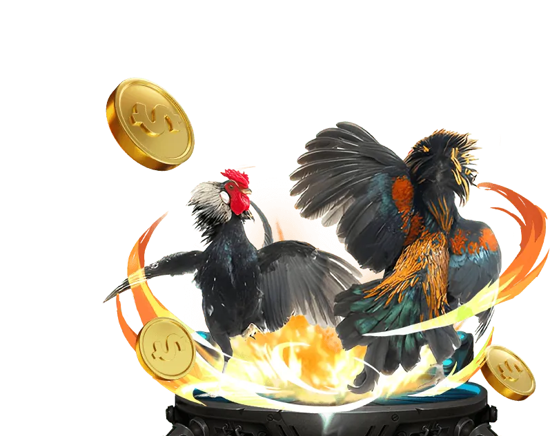 Hoàn Trả Thể Thao & Casino OK99